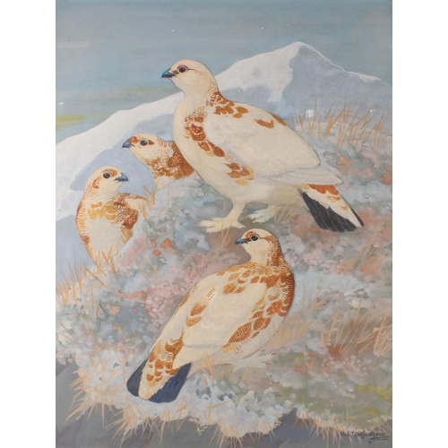 342 - RALSTON GUDGEON RSW (Scottish, 1910-1984) *ARR* Ptarmigan Watercolour, signed lower right, 56cm x 43... 