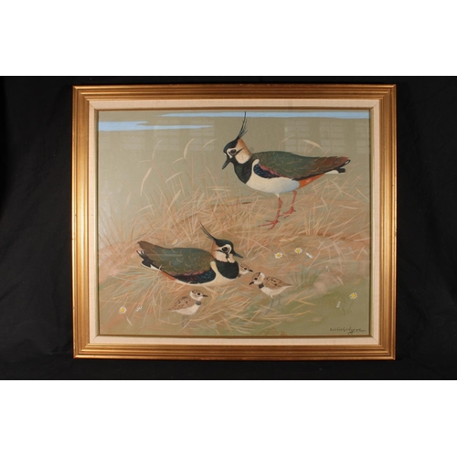 343 - RALSTON GUDGEON RSW (Scottish, 1910-1984) *ARR* Lapwings with chicksWatercolour, signed lower right,... 