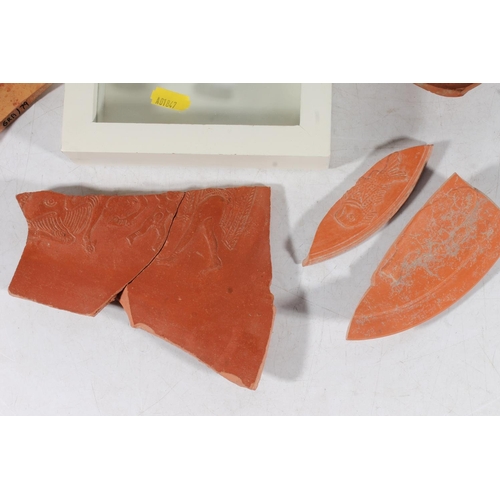 469 - Ancient Roman Redware pottery shard with relief sea bass, note to frame states that it is 2nd Centur... 