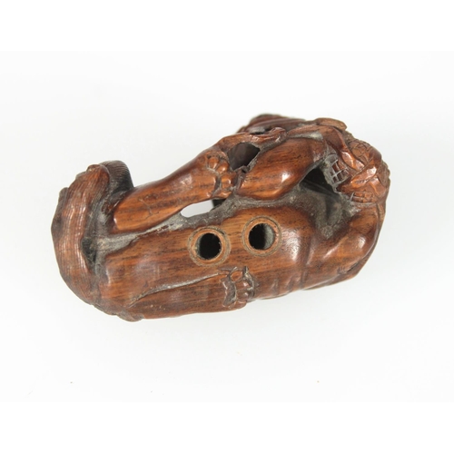 553 - Late 19th century carved wooden netsuke of a recumbent lion dog holding a ball, unsigned, 5cm.