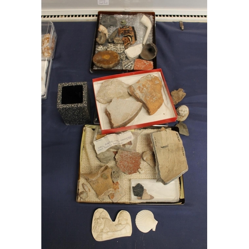 512 - Group of pottery shards and ground finds from Pompeii and Herculaneum, also fossilised tree sample, ... 