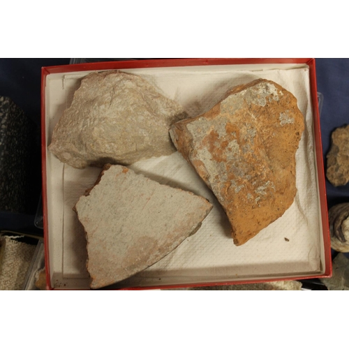 512 - Group of pottery shards and ground finds from Pompeii and Herculaneum, also fossilised tree sample, ... 