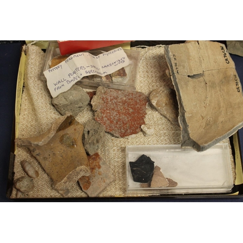 512 - Group of pottery shards and ground finds from Pompeii and Herculaneum, also fossilised tree sample, ... 