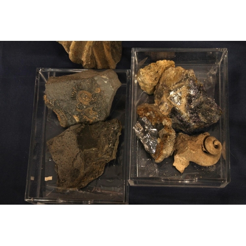 513 - Group of fossils to include ammonites, Trilobite, shells, Blue John style mineral samples, small spe... 