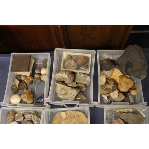 515 - Group of minerals, pottery shards and fossils to include trilobite, shark tooth, ammonites, lapis, l... 