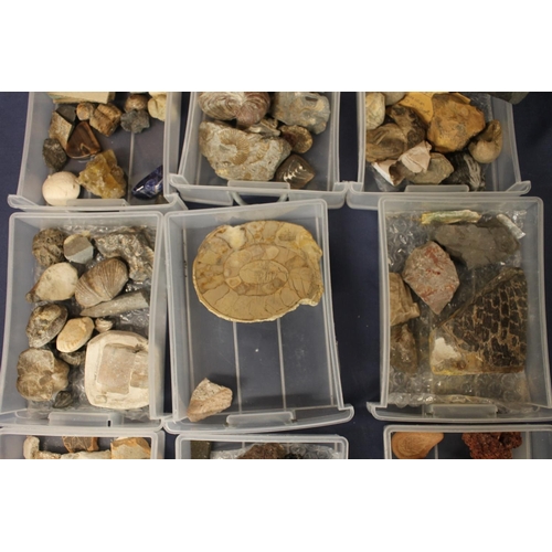 515 - Group of minerals, pottery shards and fossils to include trilobite, shark tooth, ammonites, lapis, l... 