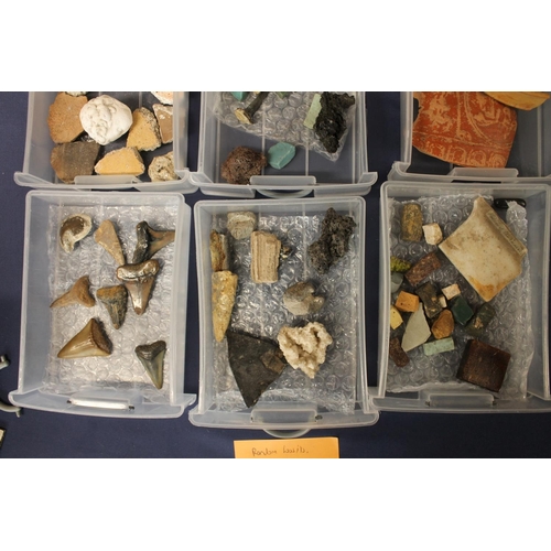 515 - Group of minerals, pottery shards and fossils to include trilobite, shark tooth, ammonites, lapis, l... 