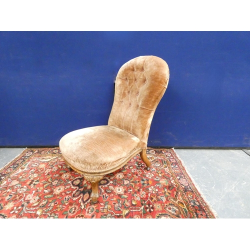 408 - Victorian button back nursing chair in beige velvet upholstery, raised on cabriole supports. Height ... 