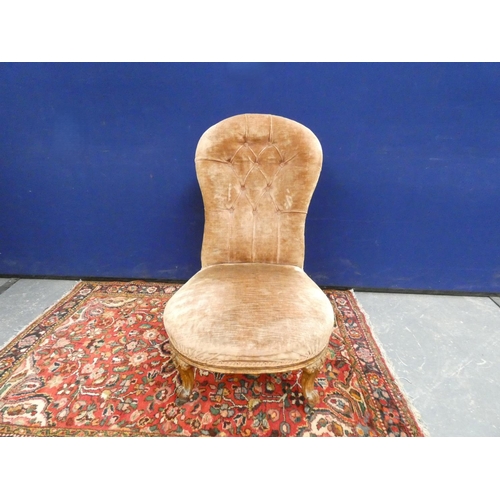 408 - Victorian button back nursing chair in beige velvet upholstery, raised on cabriole supports. Height ... 