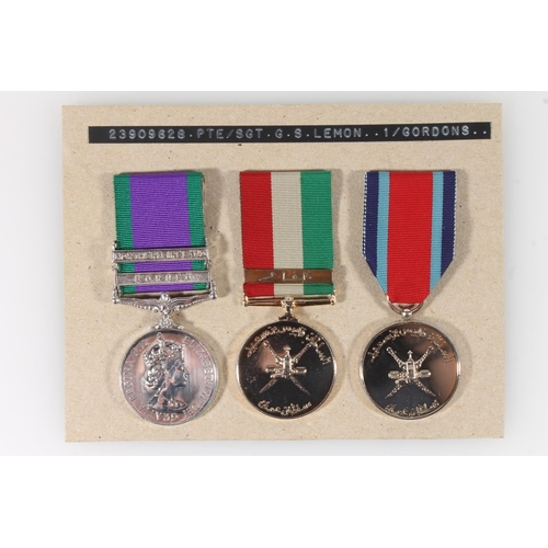 1417 - Medals of 23909628 Sergeant George S Lemon of the 1st Battalion Gordon Highlanders comprising Elizab... 