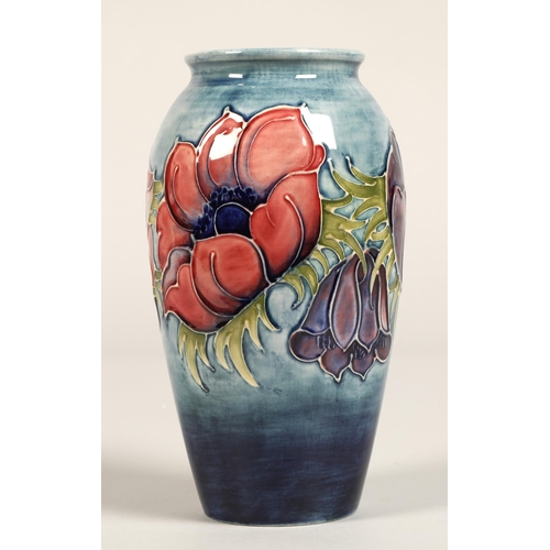 7 - Moorcroft pottery vase of baluster form, pale blue ground in the anemone pattern, impressed marks wi... 