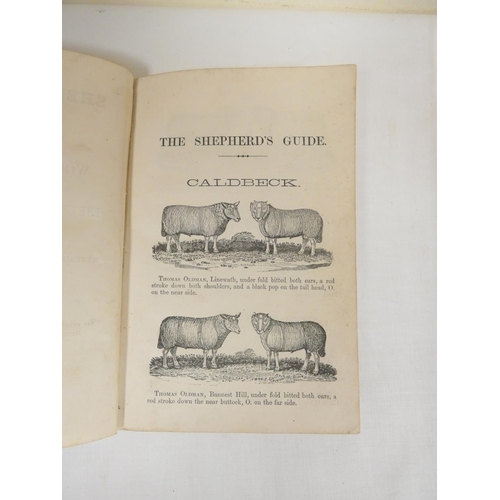 153 - BAILEY ROBERT (Prntr).  The Shepherd's Guide or A Description of the Wool & Earmarks of the Resp... 