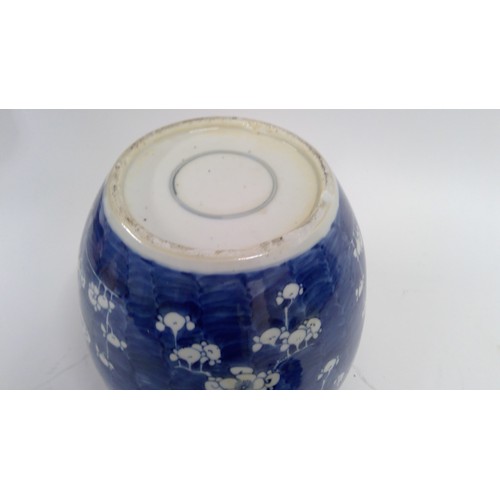 561 - Large late 19th century ginger jar and domed cover, the body decorated with prunus flowers, 30cm.