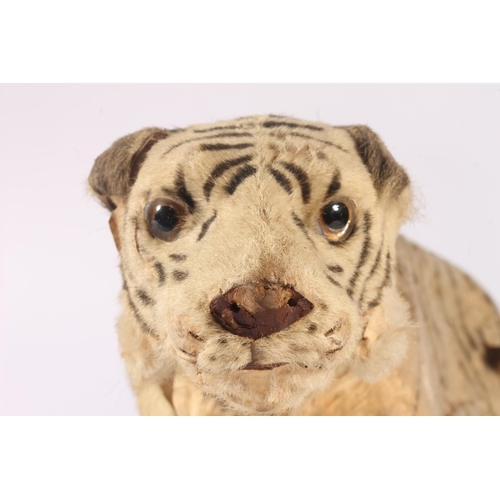 1039 - Antique clockwork automaton in the form of a tiger, in the manner of Roullet & Decamps, 35cm lon... 