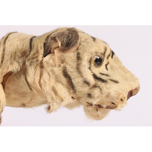 1039 - Antique clockwork automaton in the form of a tiger, in the manner of Roullet & Decamps, 35cm lon... 