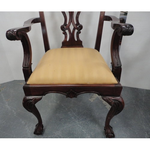 65 - Set of six Chippendale-style mahogany elbow chairs with acanthus decoration and slip-in seats, on ba... 