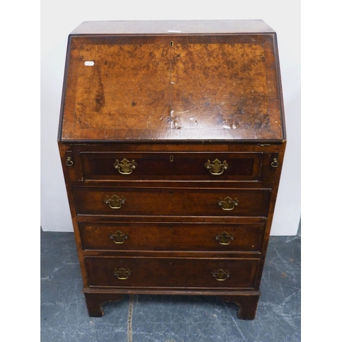 84 - Lady's burr walnut bureau with fall front enclosing fitted drawer, cupboard and pigeonholes above fo... 