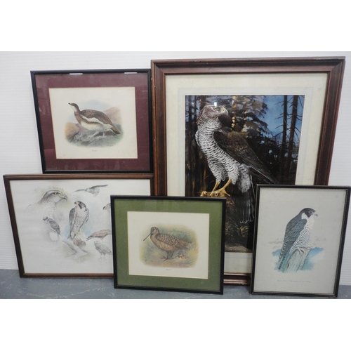 52 - Ornithological bird prints to include a collage of various of birds of prey after Joel Kirk, America... 