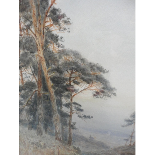 56 - A Coleman (British, 19th Century)Landscape sceneSigned, watercolour, 49.5cm x 25cm.... 