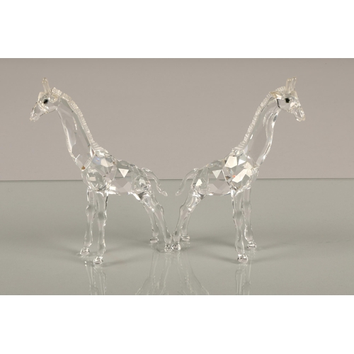 12 - Two Swarovski crystal giraffes, 14cm h, both boxed (2)