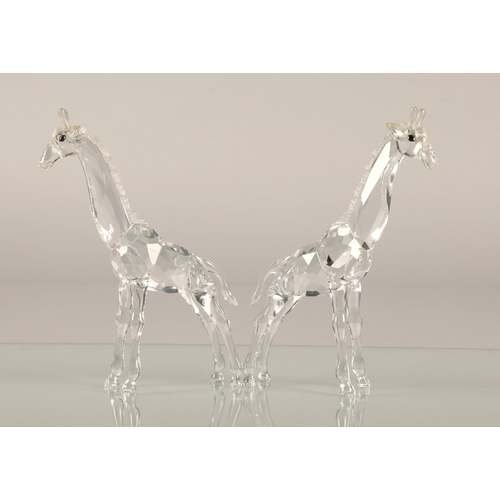 12 - Two Swarovski crystal giraffes, 14cm h, both boxed (2)