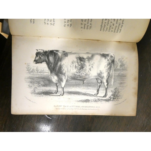 177 - Shorthorn Cattle.  Coates' Herd Books, vols. 4, 6, 7, 11, 14 to 18, 22 to 25 & 27 to 30. Varying... 