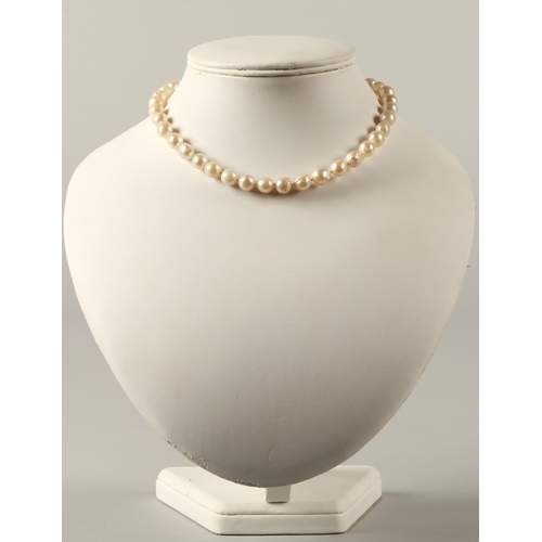 62 - Single string of cultured pearls on a Chinese 14k yellow gold clasp, 38cm long.