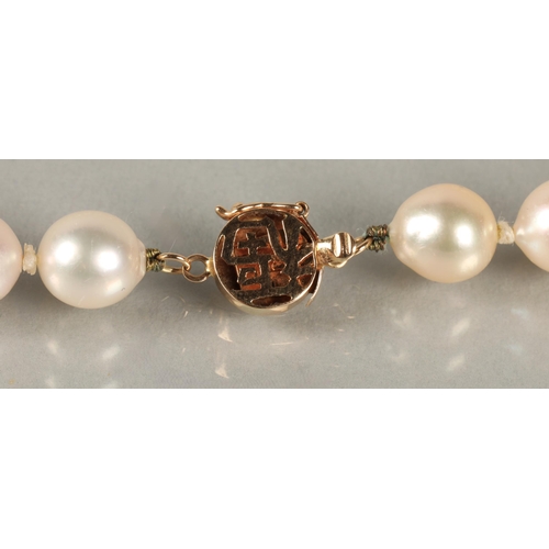 62 - Single string of cultured pearls on a Chinese 14k yellow gold clasp, 38cm long.