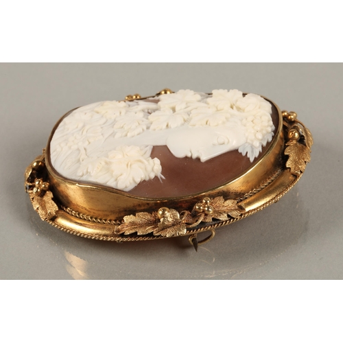 66 - Victorian cameo brooch with the shell carved with a young woman mounted on yellow foliate metal, 7cm... 