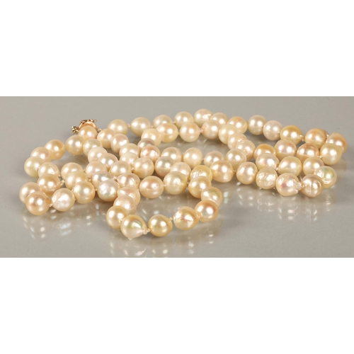 77 - Single string of cultured pearls with a Chinese14k gold clasp, 82cm long.