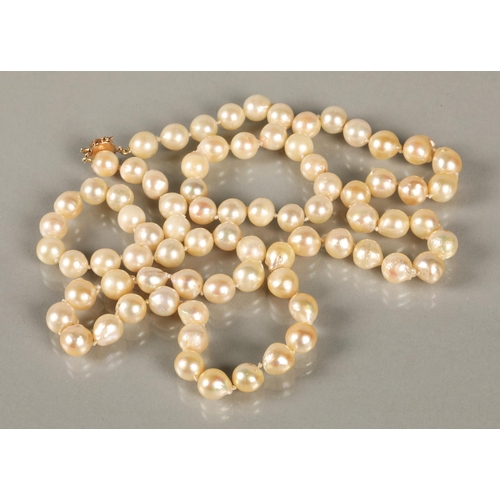 77 - Single string of cultured pearls with a Chinese14k gold clasp, 82cm long.