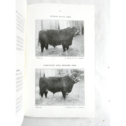 181A - Shorthorn Cattle.  Shorthorn Breeders` Review. 2 vols. Illus & adverts. Orig. brds. &a... 