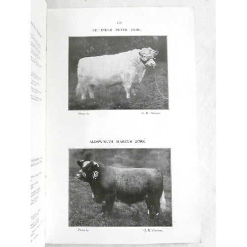 181A - Shorthorn Cattle.  Shorthorn Breeders` Review. 2 vols. Illus & adverts. Orig. brds. &a... 