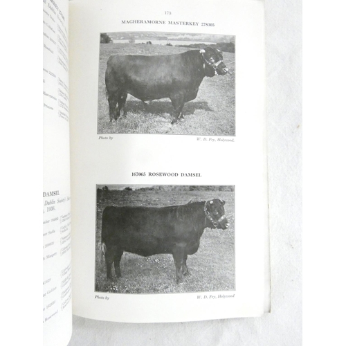 181A - Shorthorn Cattle.  Shorthorn Breeders` Review. 2 vols. Illus & adverts. Orig. brds. &a... 