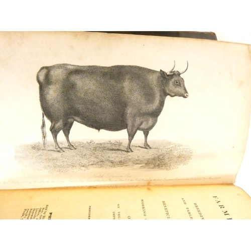 184 - HILLYARD C. Practical Farming & Grazing. Eng. frontis of a North Devon Ox. Orig. green cloth. No... 