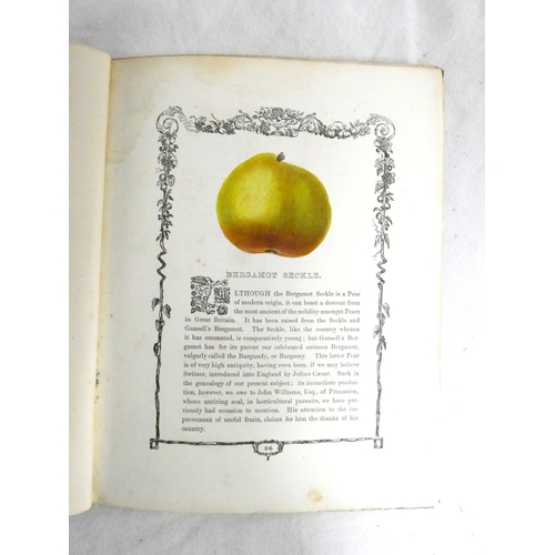 302 - MAUND B.  Orchard & Garden Fruits. 24 col. illus., each within an eng. border. Small quarto. Ori... 