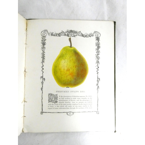 302 - MAUND B.  Orchard & Garden Fruits. 24 col. illus., each within an eng. border. Small quarto. Ori... 