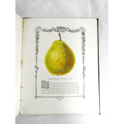 302 - MAUND B.  Orchard & Garden Fruits. 24 col. illus., each within an eng. border. Small quarto. Ori... 