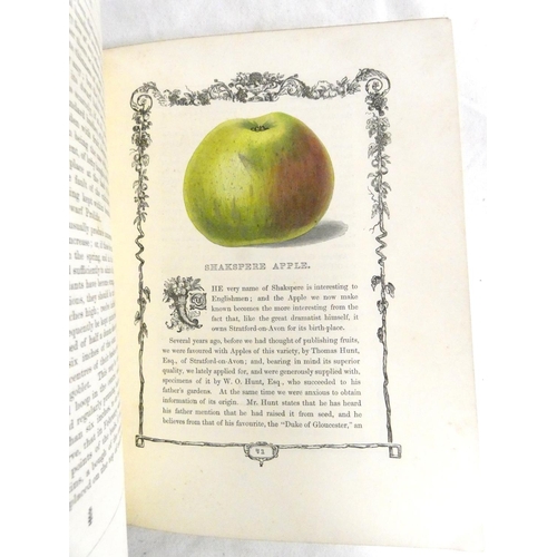 302 - MAUND B.  Orchard & Garden Fruits. 24 col. illus., each within an eng. border. Small quarto. Ori... 