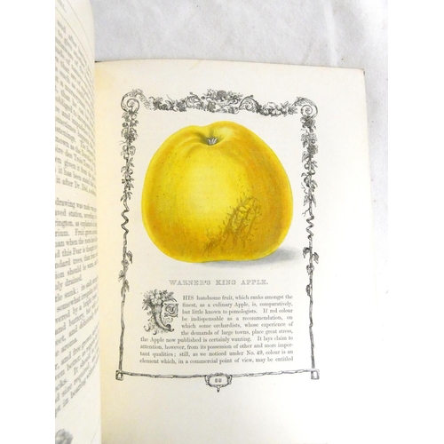 302 - MAUND B.  Orchard & Garden Fruits. 24 col. illus., each within an eng. border. Small quarto. Ori... 