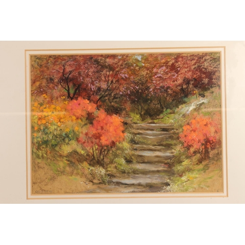 505 - MARY M G W WILSON RSW, Steps in the Rock Garden, pastel, signed lower left, 28cm x 38cm, frame 51cm ... 