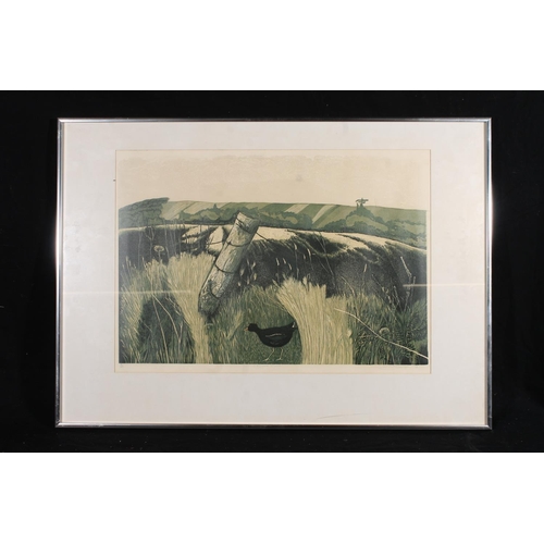 507 - BARBARA ROBERTSON DA (Scottish 1946-2018) of Douglastown Forfar, Burnt Field, print, pencil signed a... 