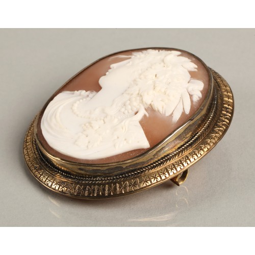 67 - Large cameo brooch mounted in yellow metal, 5.5cm high 5cm wide.