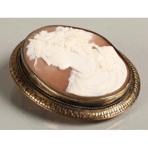 67 - Large cameo brooch mounted in yellow metal, 5.5cm high 5cm wide.