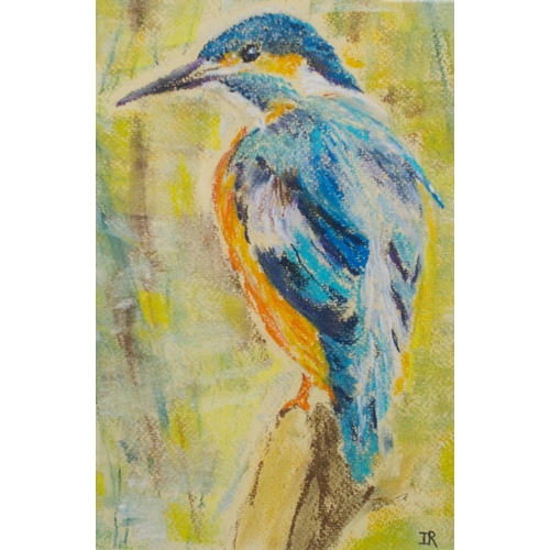 10 - Irene Rodgers (British, Contemporary)KingfisherMonogrammed, pastel, 38cm x 48cm.  ARR... 