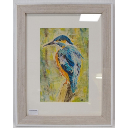 10 - Irene Rodgers (British, Contemporary)KingfisherMonogrammed, pastel, 38cm x 48cm.  ARR... 