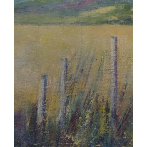 28 - June Marchbank (British, Contemporary) MerseheadSigned, acrylic, 40cm x 50cm.  ARR... 