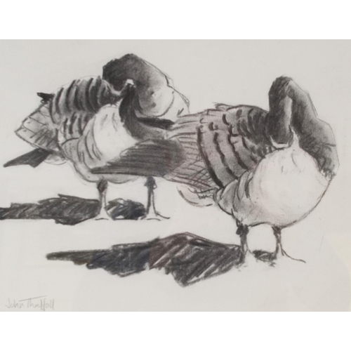 7 - John Threlfall (British, Contemporary)Preening BarniesSigned, charcoal, 27cm x 35cm.  ARR... 