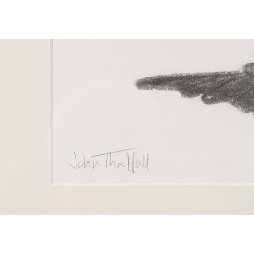 7 - John Threlfall (British, Contemporary)Preening BarniesSigned, charcoal, 27cm x 35cm.  ARR... 