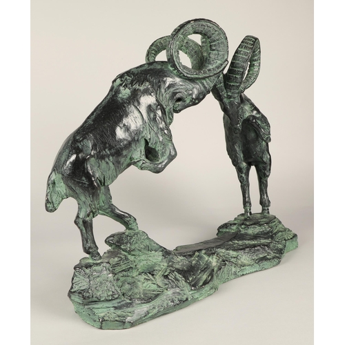 226 - Bronze figure of two Chamoix rams fighting, signed Austin, dated 1981,titled 'At Play' 56 cm long 44... 